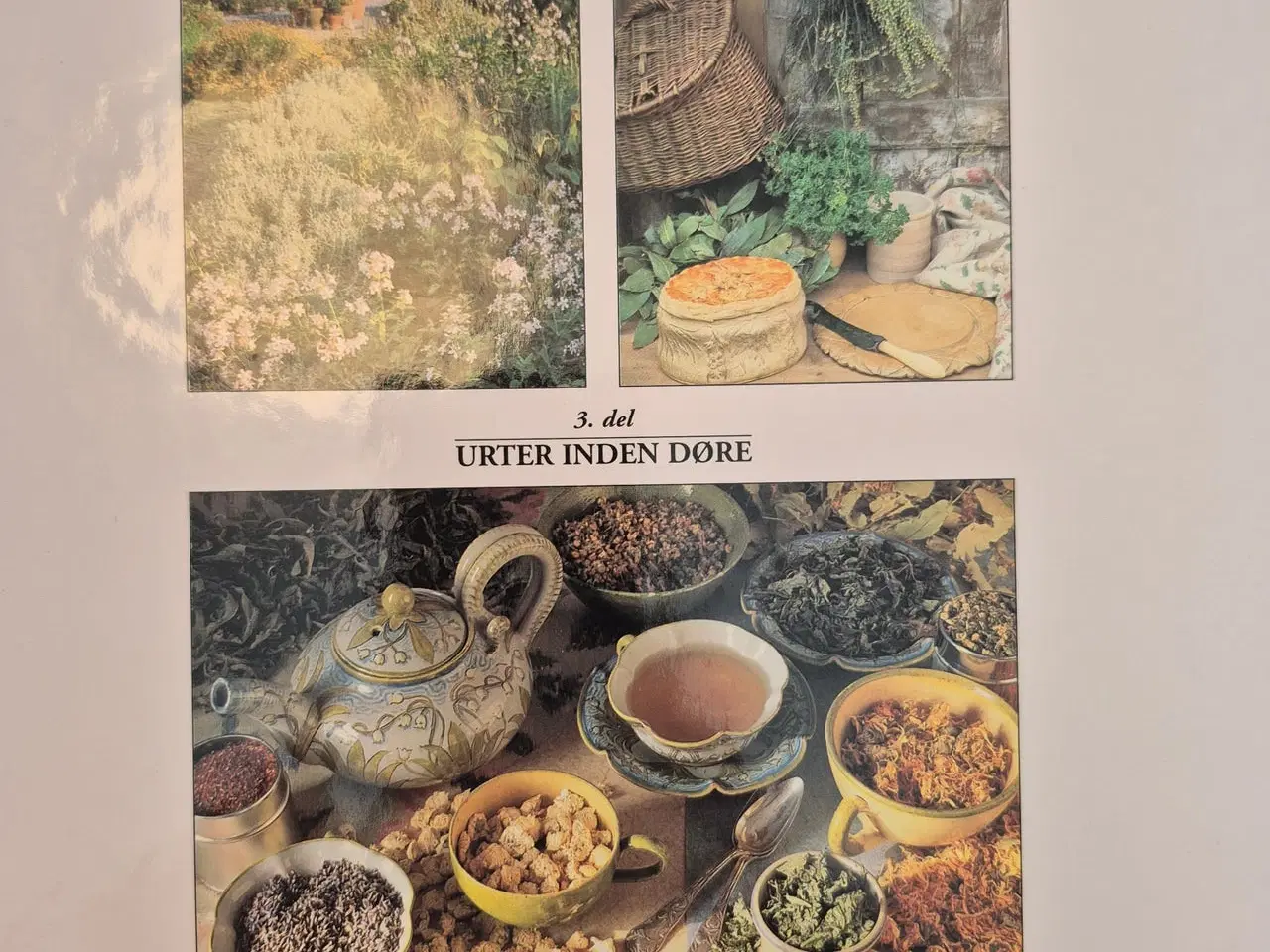 Billede 2 - Geraldene Holt : Den Store Bog Om Kryddeurter