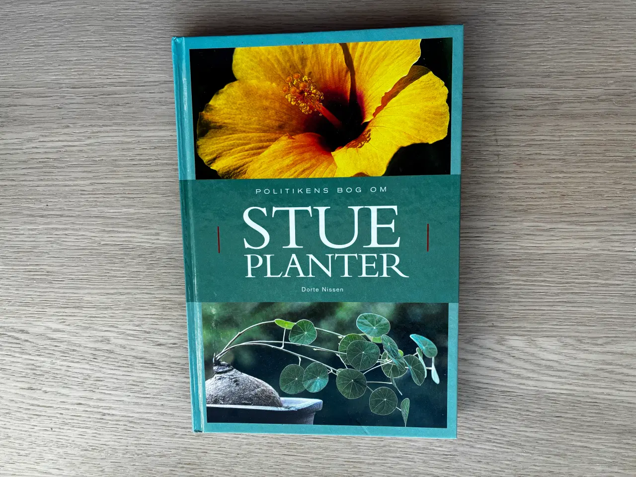 Billede 1 - Politikens bog om STUEPLANTER