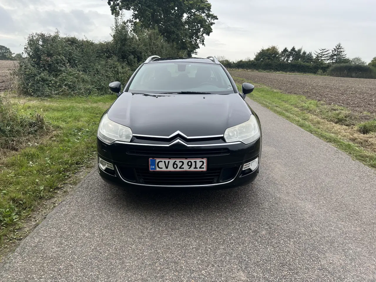 Billede 5 - Citroën C5 Stationcar