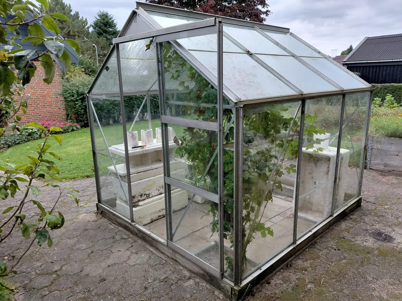 Billede 2 - Drivhus Juliana 4,5m2