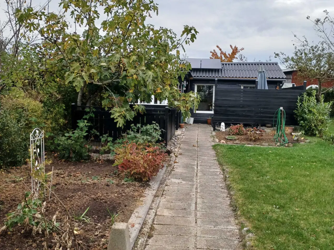 Billede 11 - Kolonihavehus