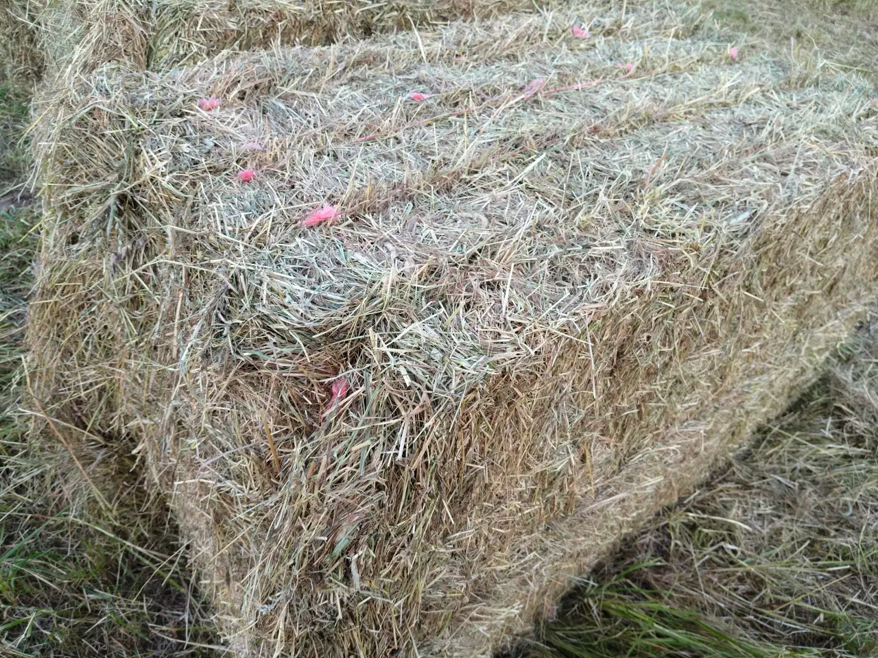 Billede 1 - Heste hø wrap 