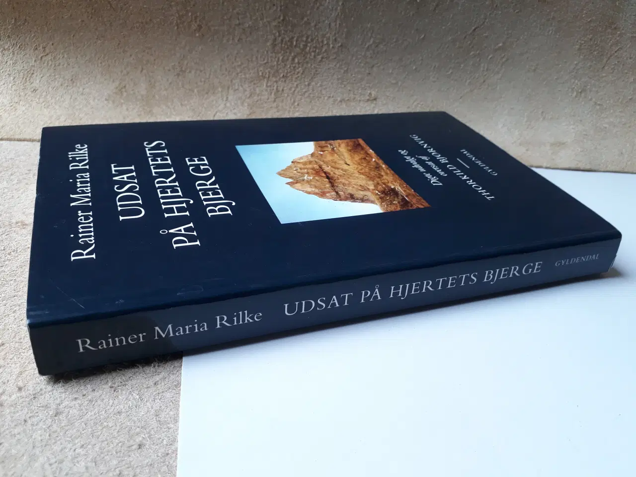 Billede 3 - Rainer Maria Rilke - Udsat på hjertets bjerge