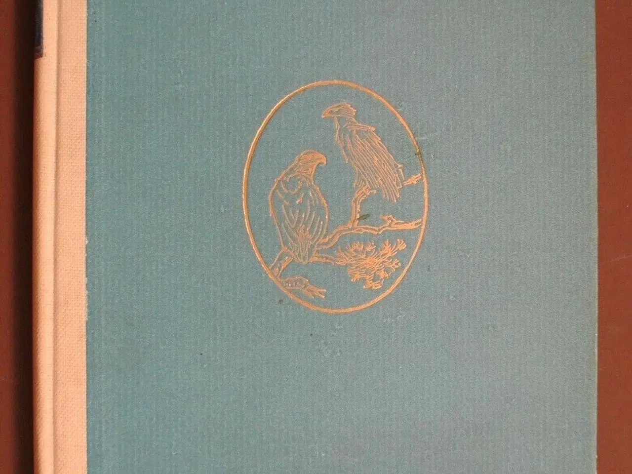 Billede 1 - de sidste ørne, af bengt berg, emne: dyr