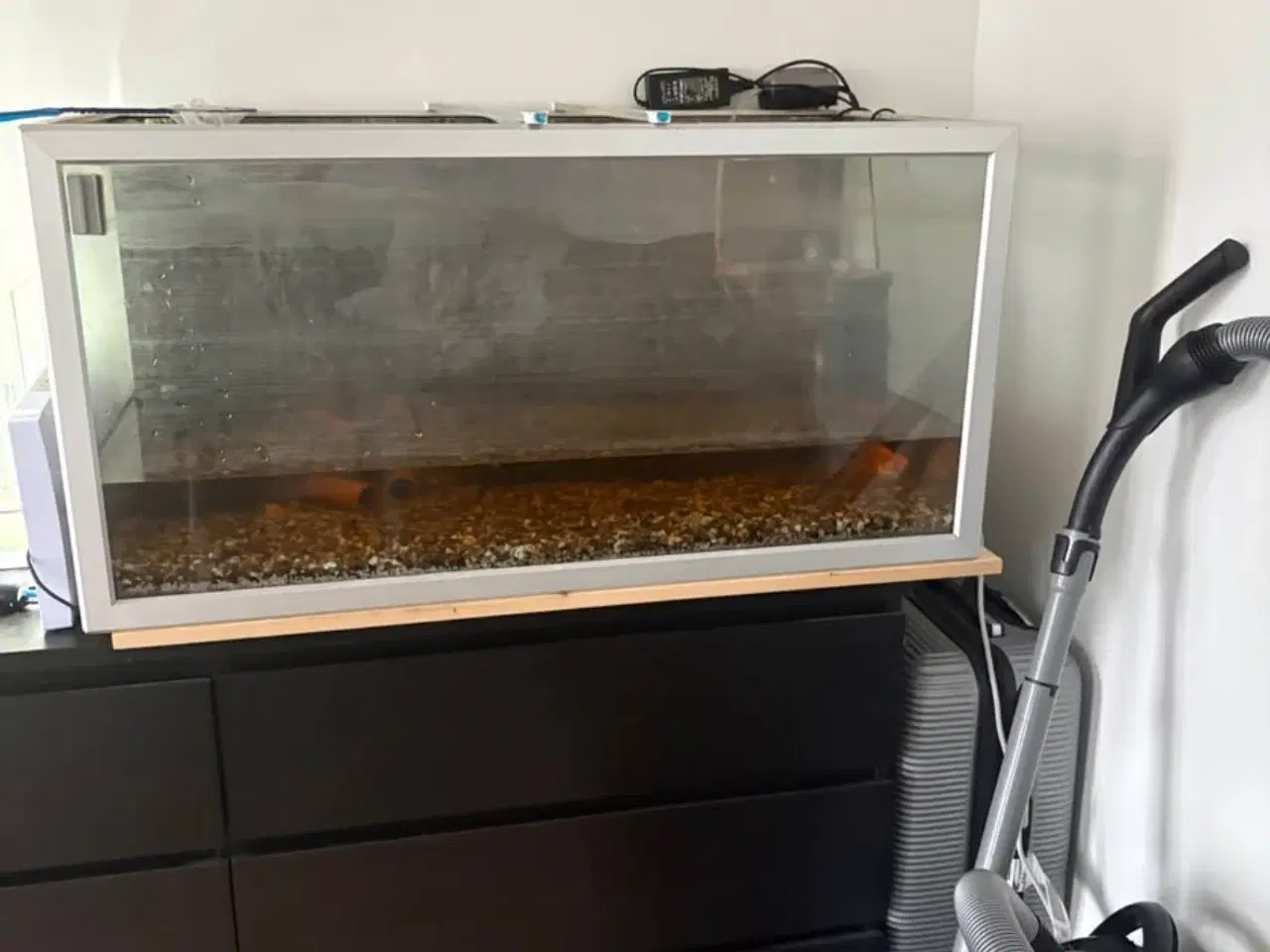 Billede 1 - 240L akvarie 