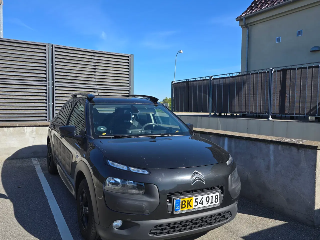 Billede 1 - C4 cactus van 1.6 d manual