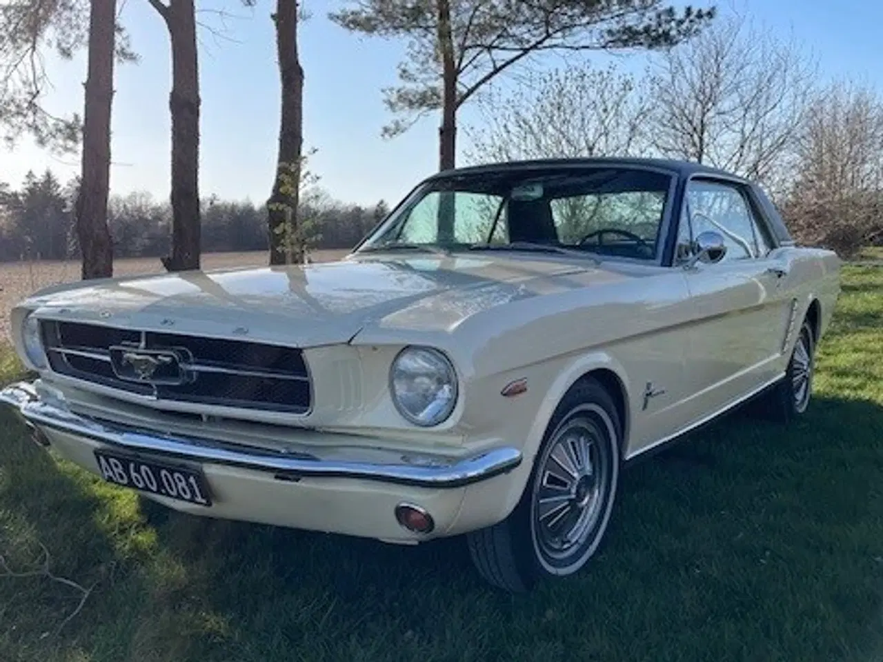 Billede 1 - Ford Mustang 1965