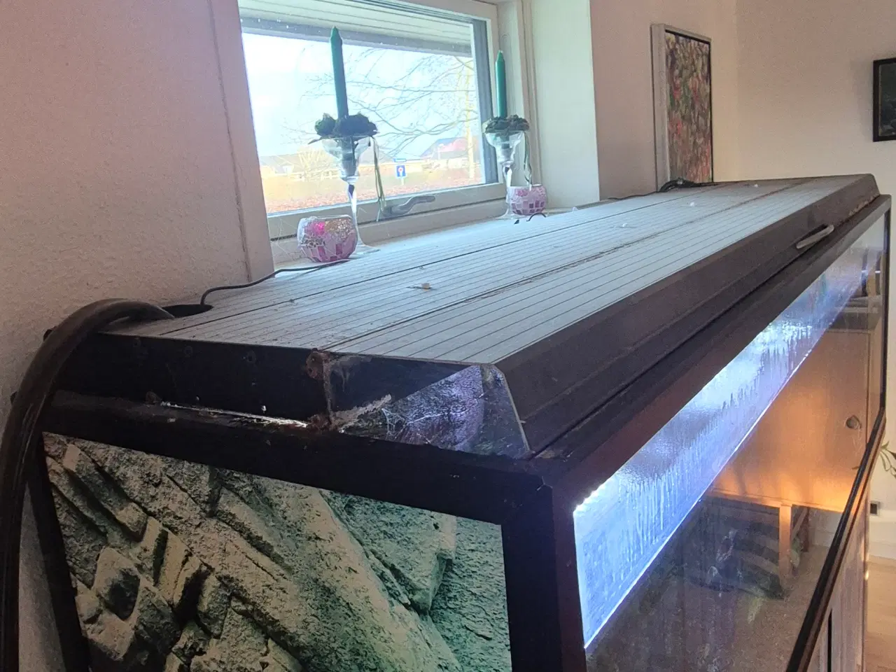 Billede 2 - 660L akvarie med 3D baggrund