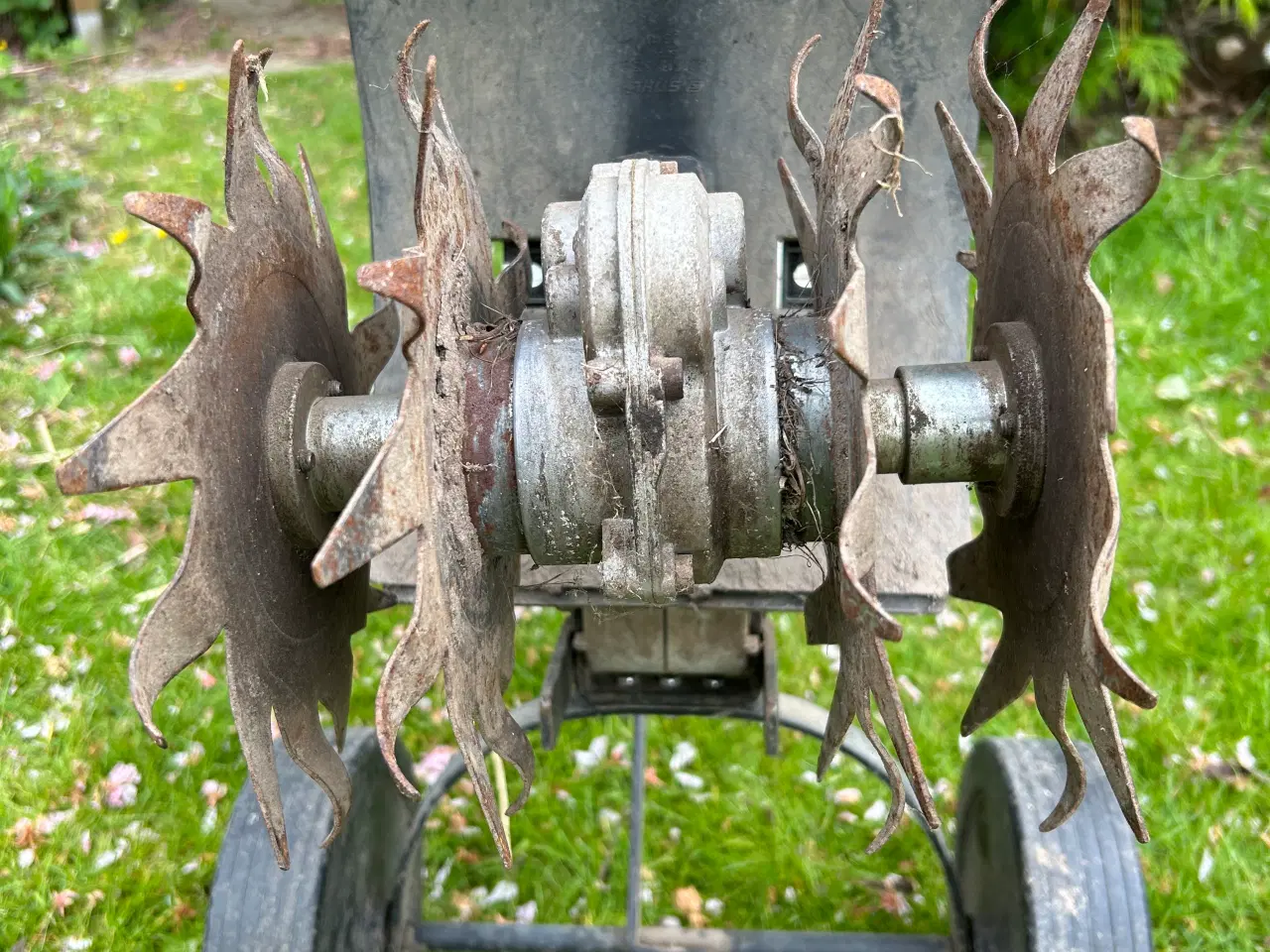 Billede 4 - STIHL MM 55 multi Fræser