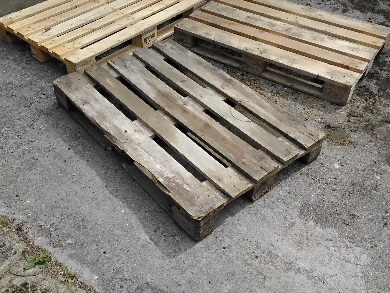 Billede 6 - 8 stk europaller / eupaller / træpaller