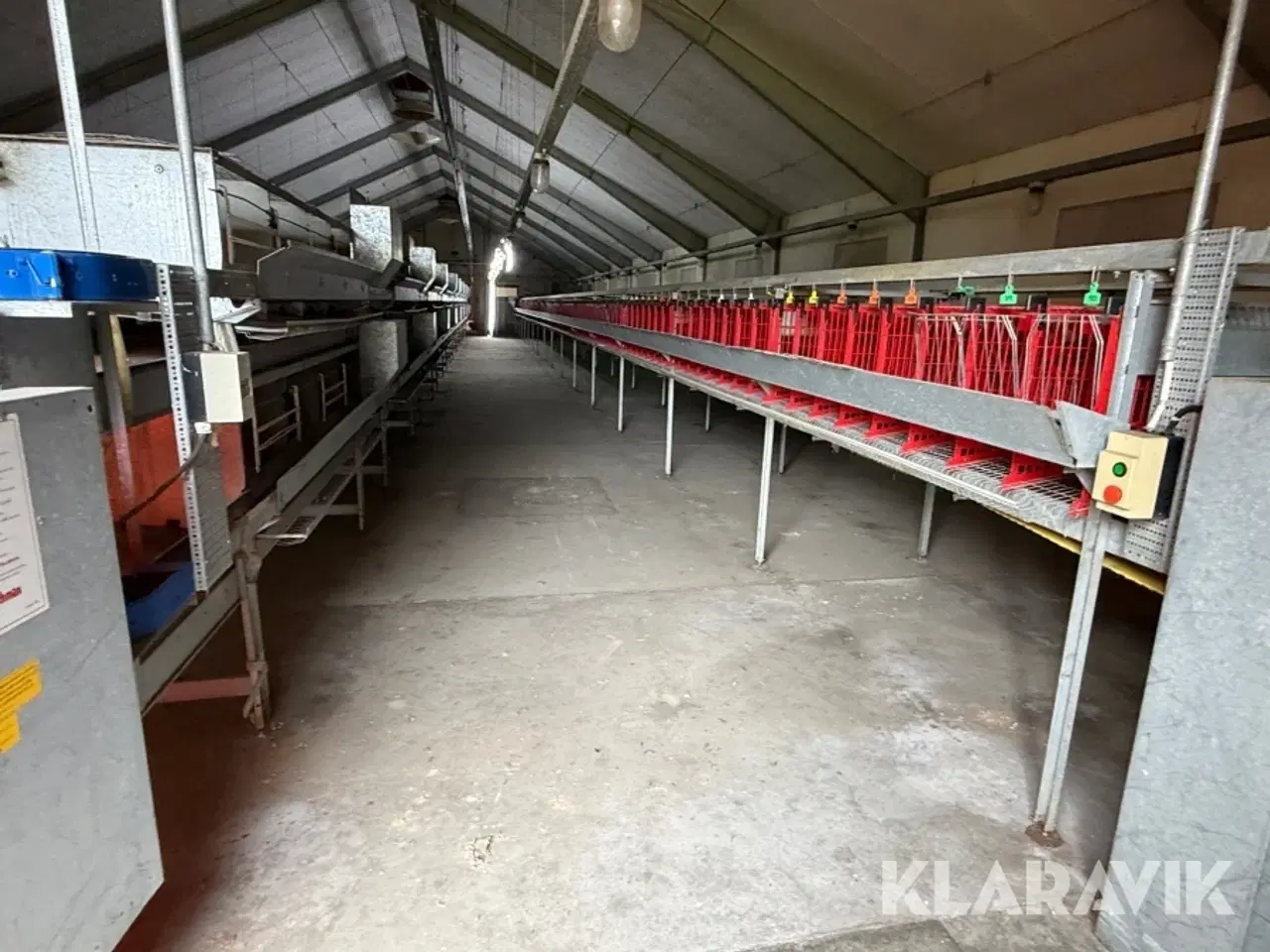 Billede 12 - Produktionslinje Big Dutchman + Landmeco æglægger system