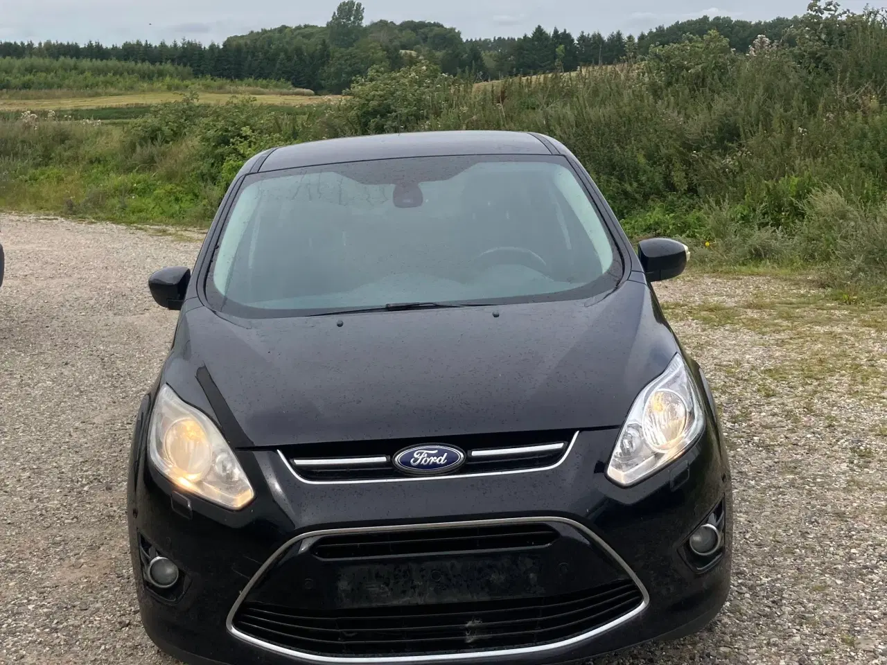 Billede 1 - Ford C-Max 2012 Titanium