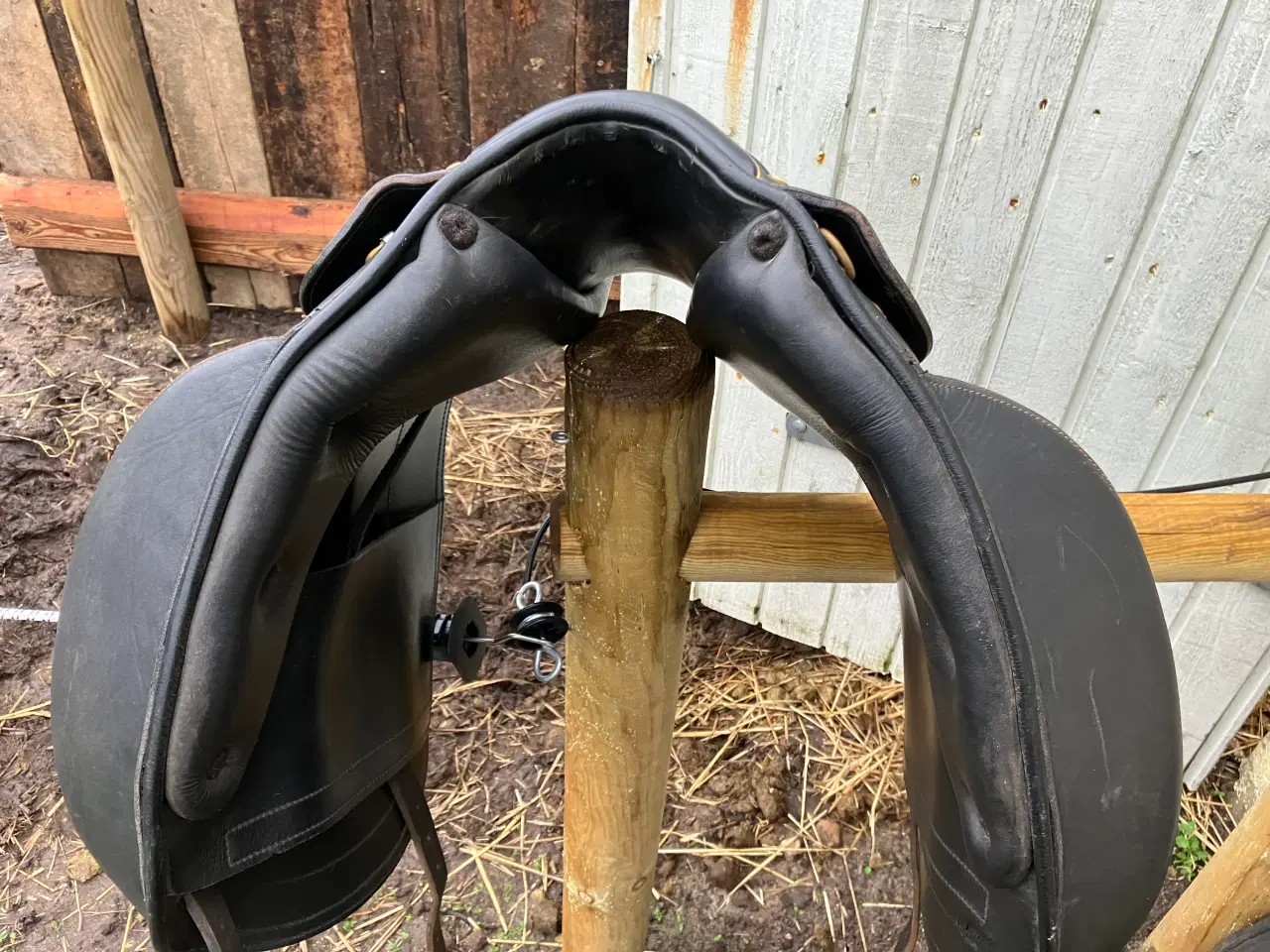 Billede 4 - Eques Kosmos 16” islænder/dressursadel