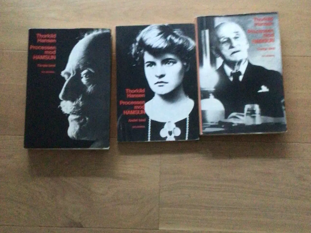 Billede 1 - Processen mod Hamsun