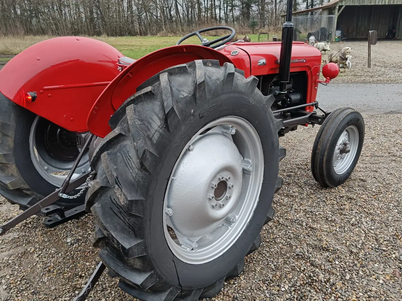 Billede 5 - Massey Ferguson 35  Benzin