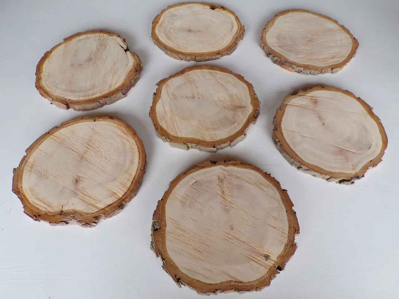 Billede 1 - NYE Træskiver Thuja 21-23 cm 