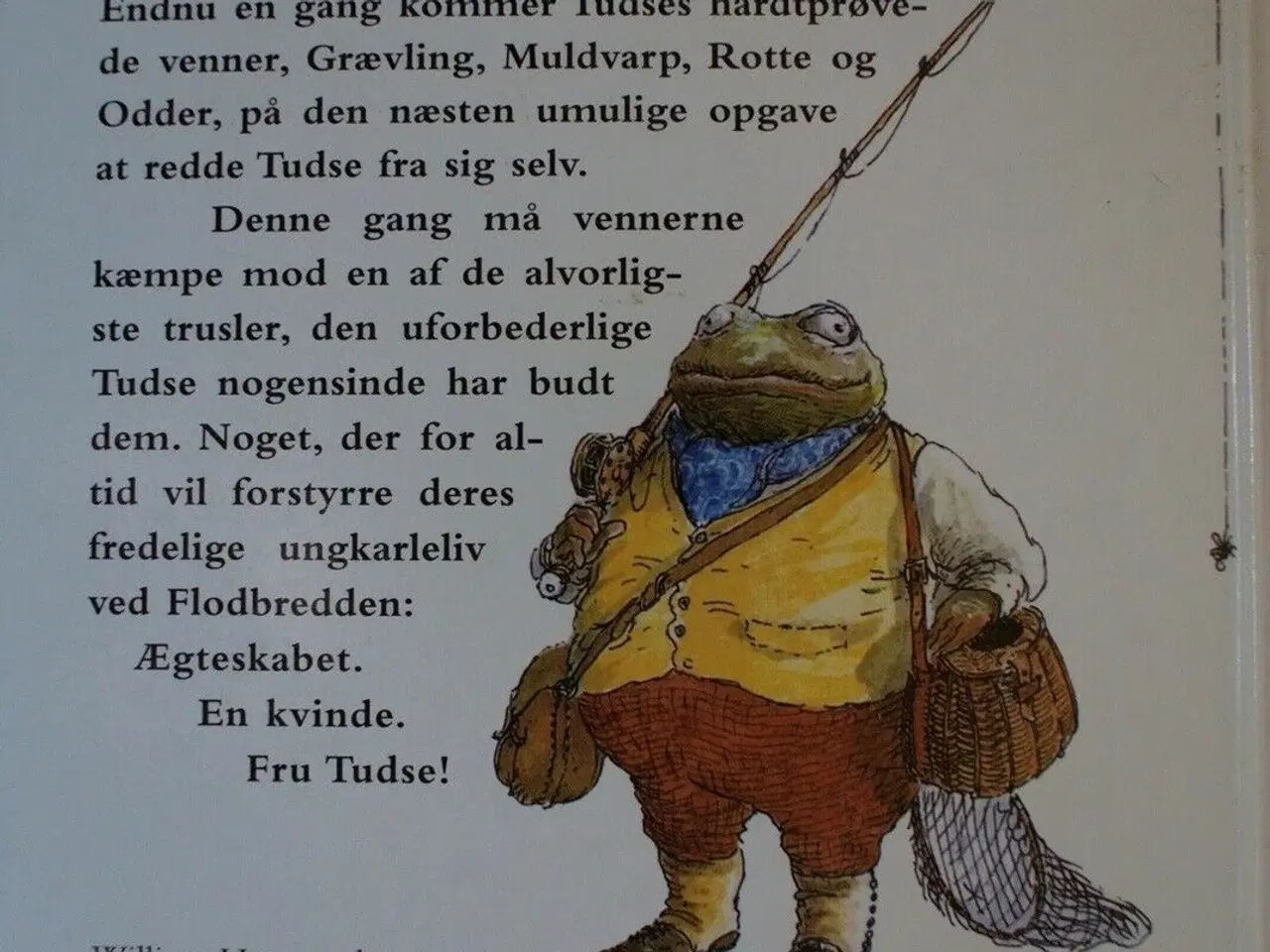 Billede 2 - tudses triumf, af william horwood. ill. af patrick