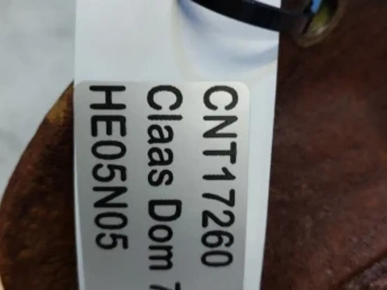 Billede 16 - Claas Dominator 76 Aksel 0006035254