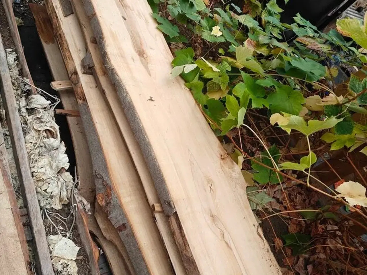 Billede 4 - 6 stk. Bøgetræsplanker str. 300 x 45 x 4,5