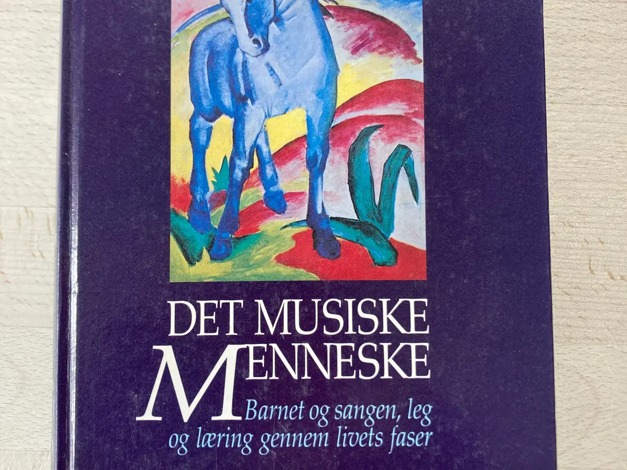 Billede 1 - Det musiske menneske, Jon-Roar Bjørkvold