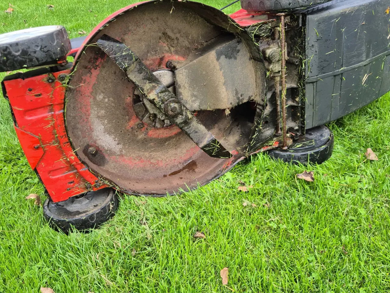 Billede 9 - AL-KO Pro 160 QSS 5.14 SPE-A Plus, klippebredde 46