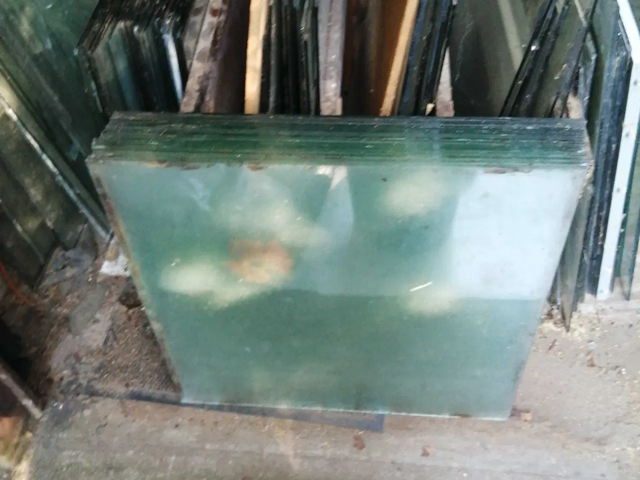 Billede 7 - Drivhusglas mange størrelser 