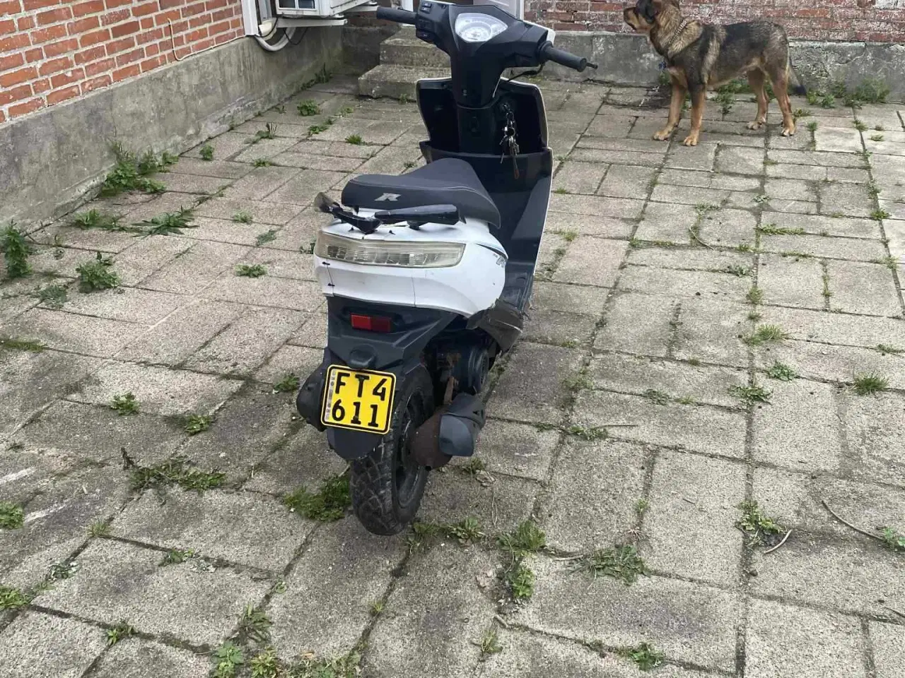 Billede 6 - knallert