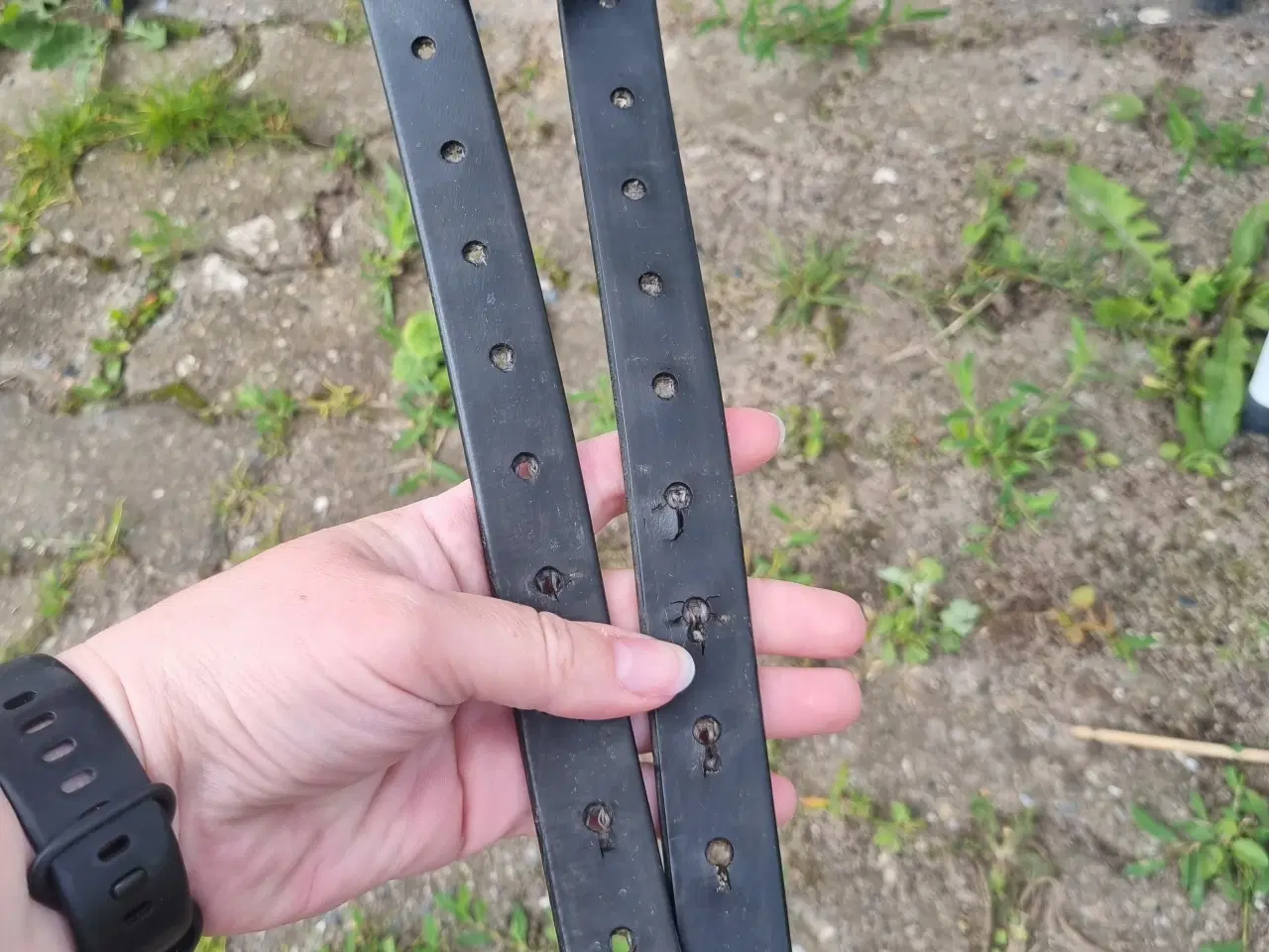 Billede 9 - Wintec hightec icelandic 17