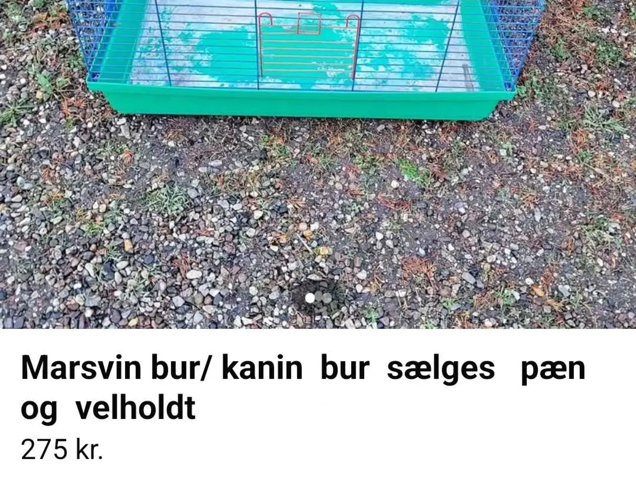 Billede 1 - Marsvin bur eller  kanine  bur sælges 