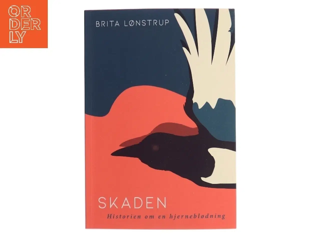 Billede 1 - Skaden : historien om en hjerneblødning af Brita Lønstrup (Bog)