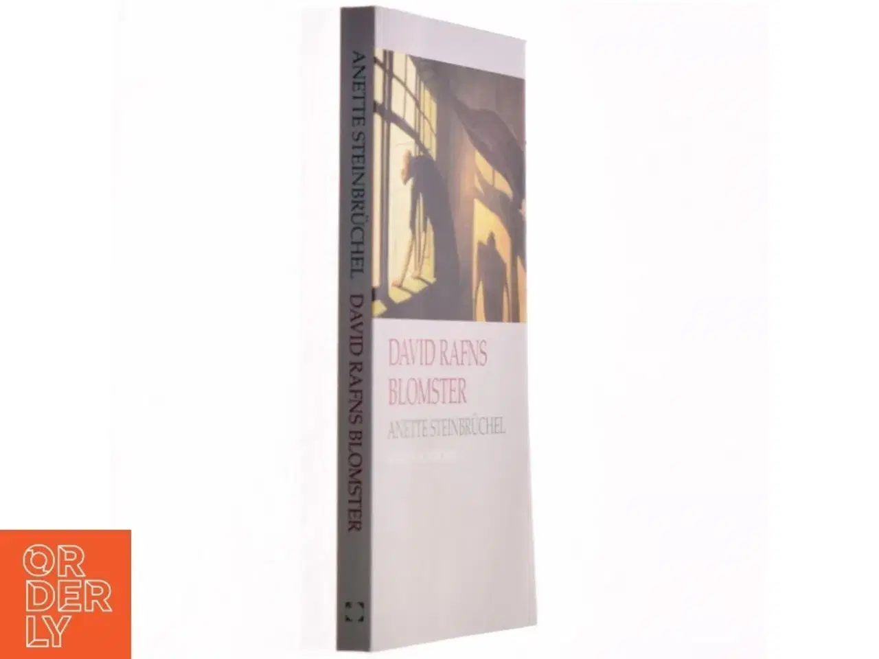 Billede 1 - David Rafns blomster : roman af Anette Steinbrüchel (Bog)