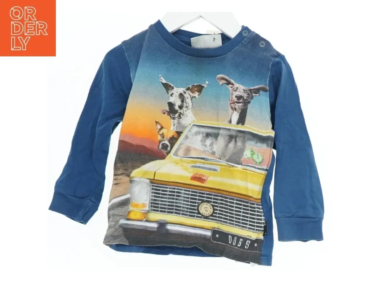 Billede 1 - Langærmet t-shirt med biltryk og hunde fra Molo (str. 86)