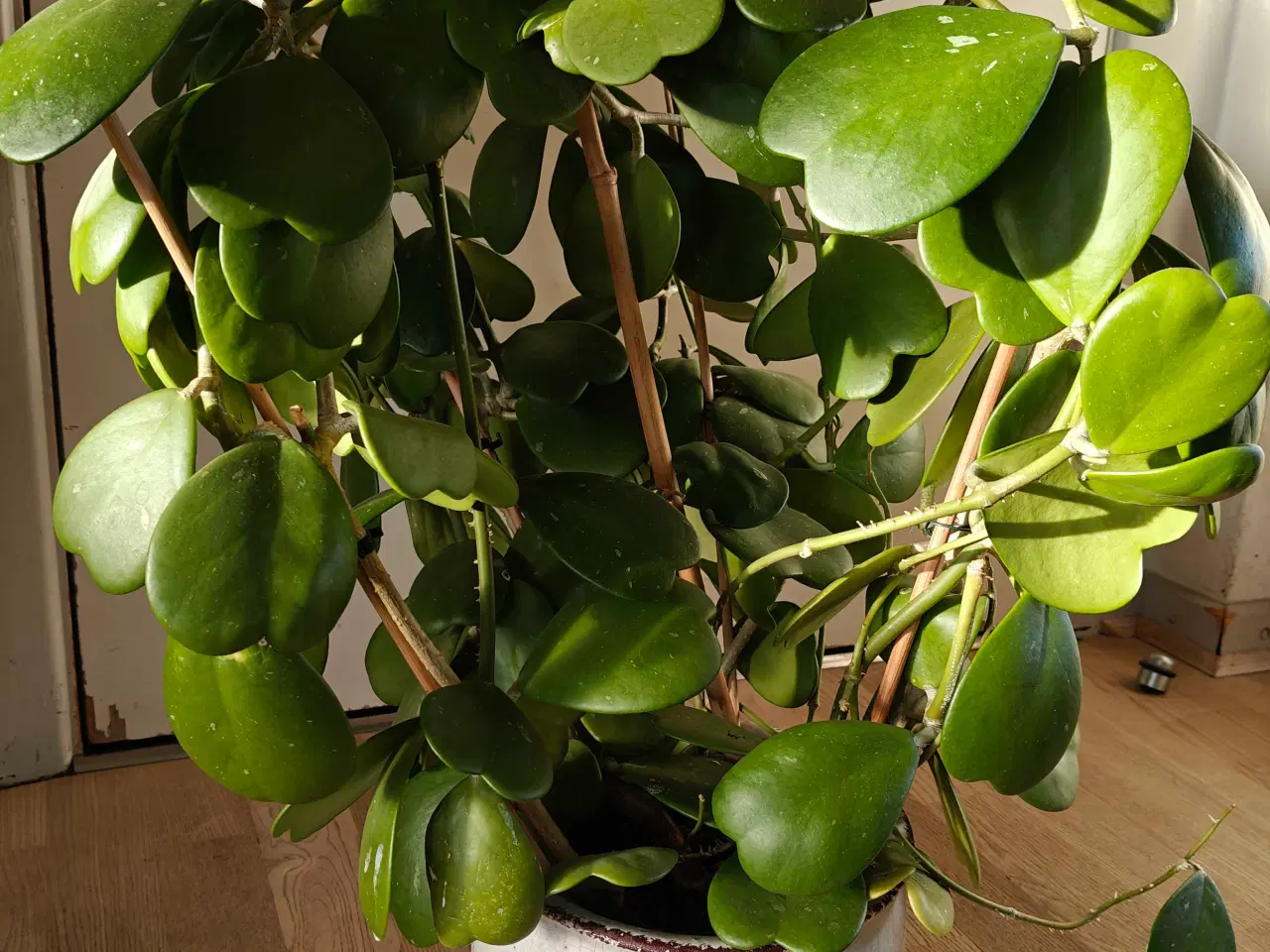 Billede 2 - Lykkehjerte