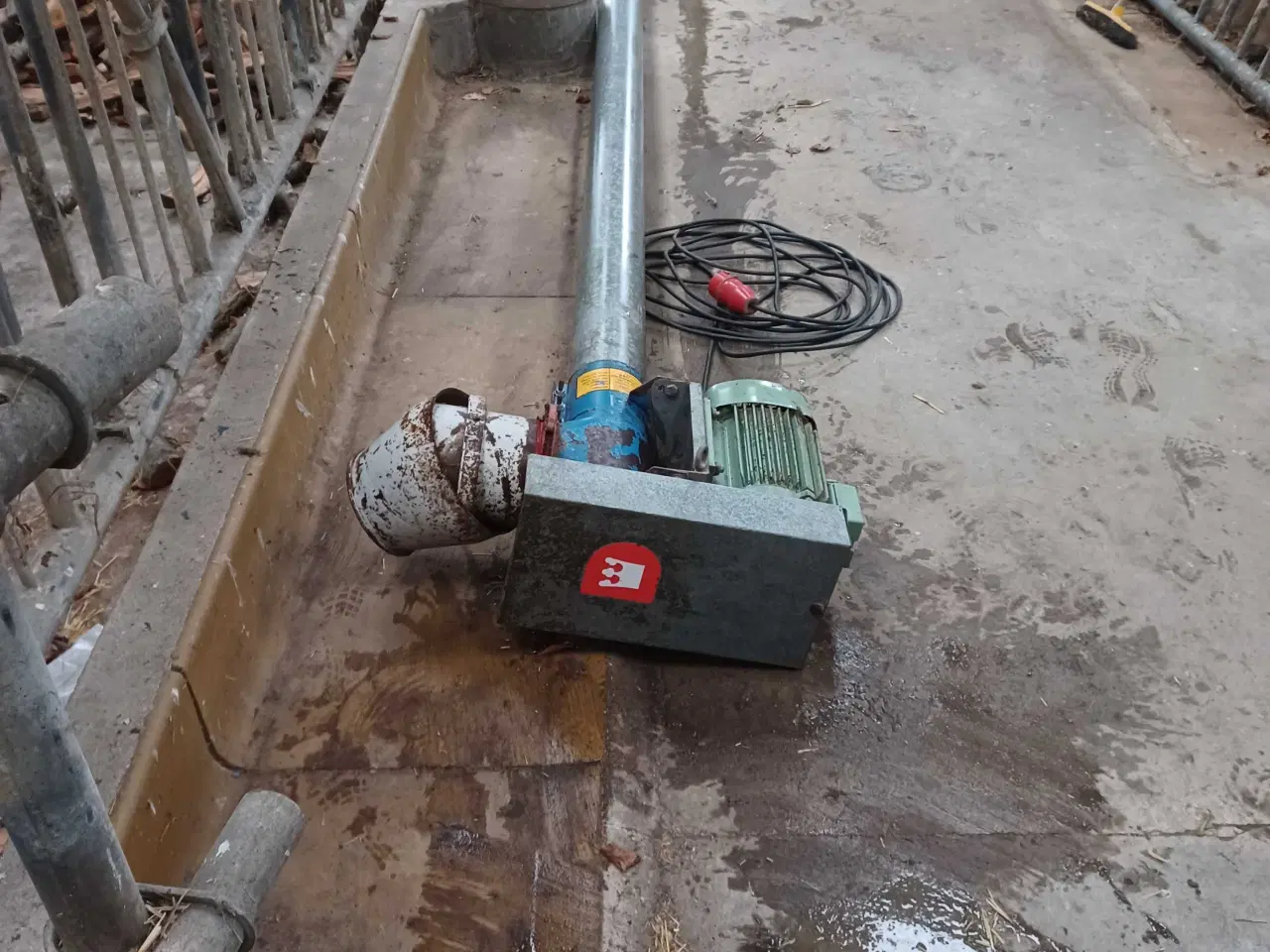 Billede 3 - Kornsnejl