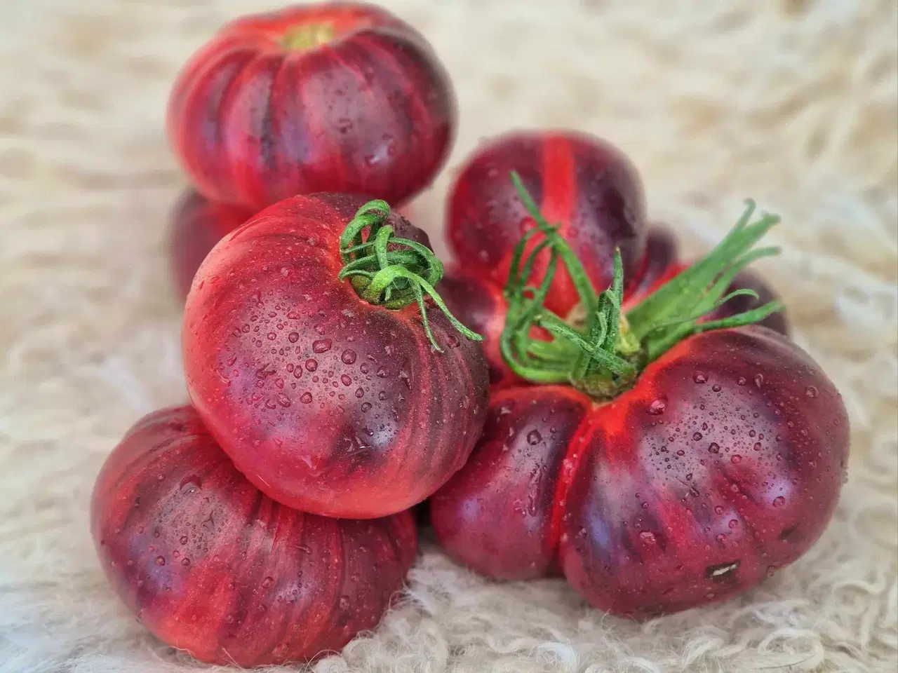 Billede 4 - TOMATFRØ - 300 sorter!!