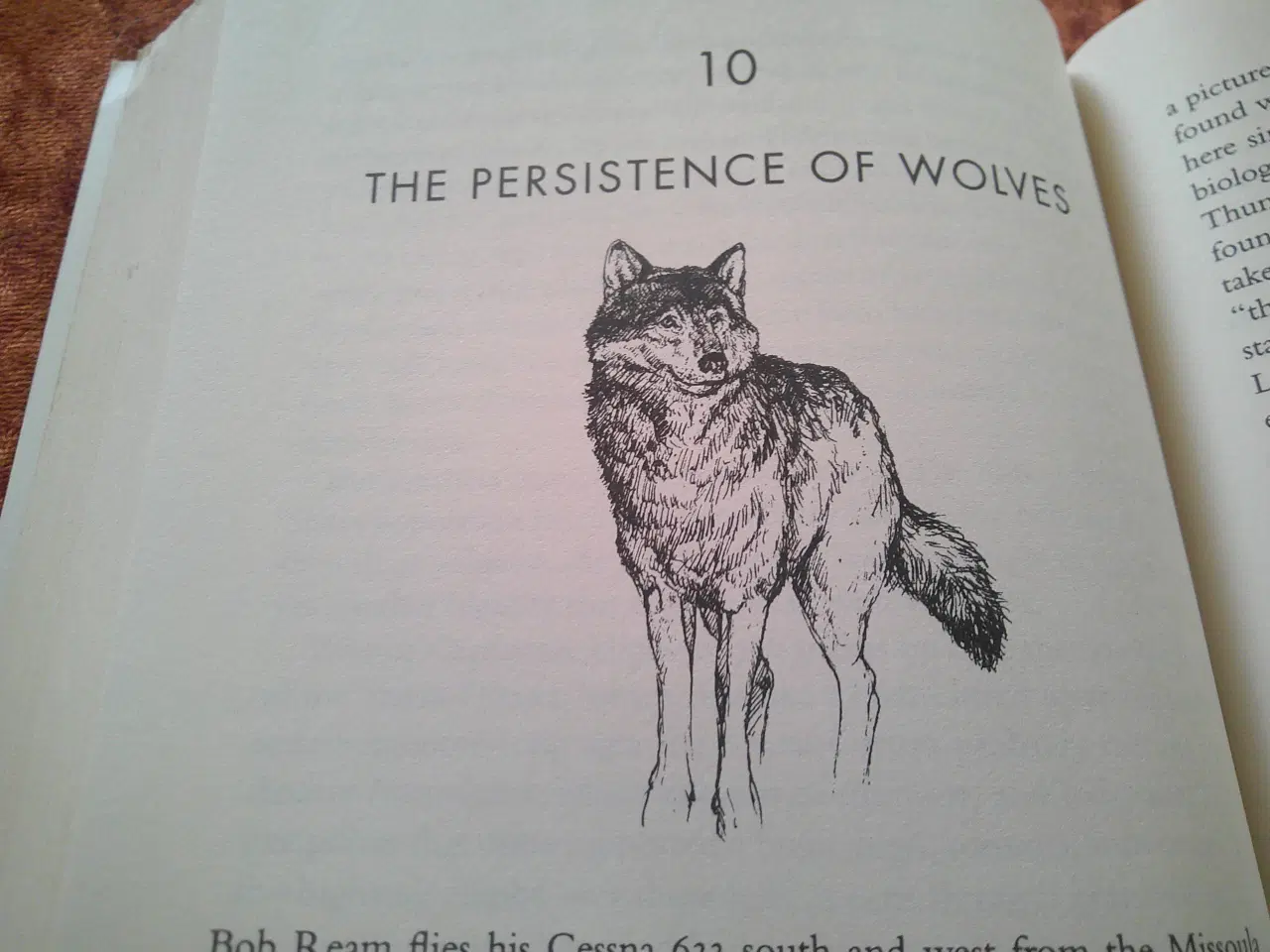 Billede 3 - The company of wolves, Peter Steinhart,