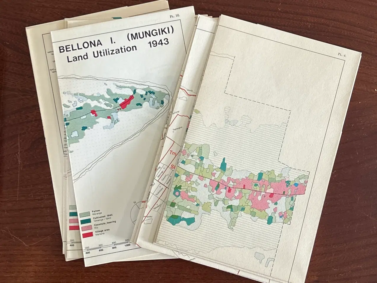 Billede 6 - Subsistence on Bellona Island (Mungiki)