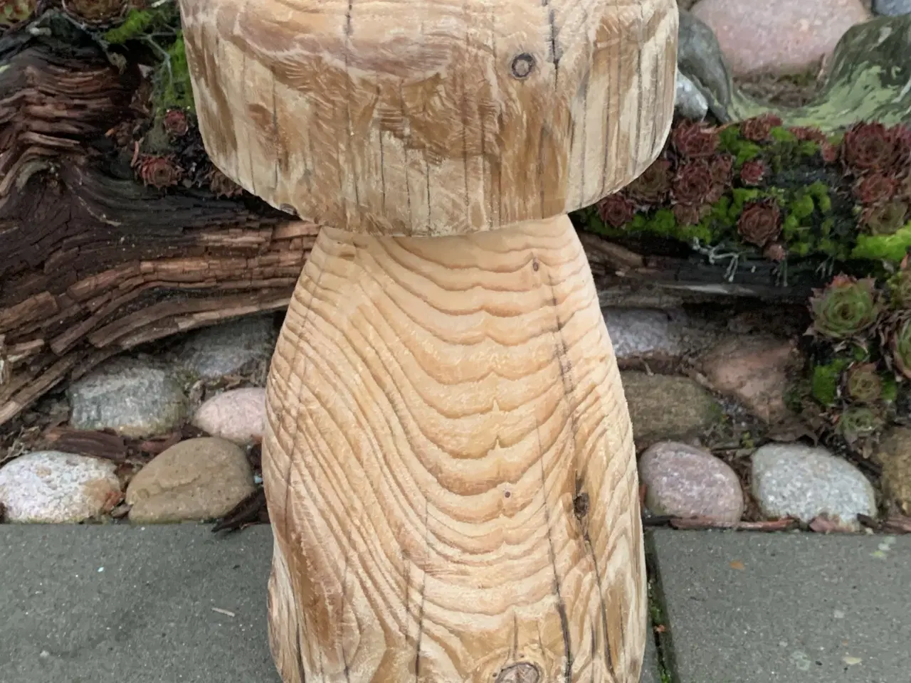 Billede 2 - PADDEHAT/ TRÆSVAMP - Ny pris