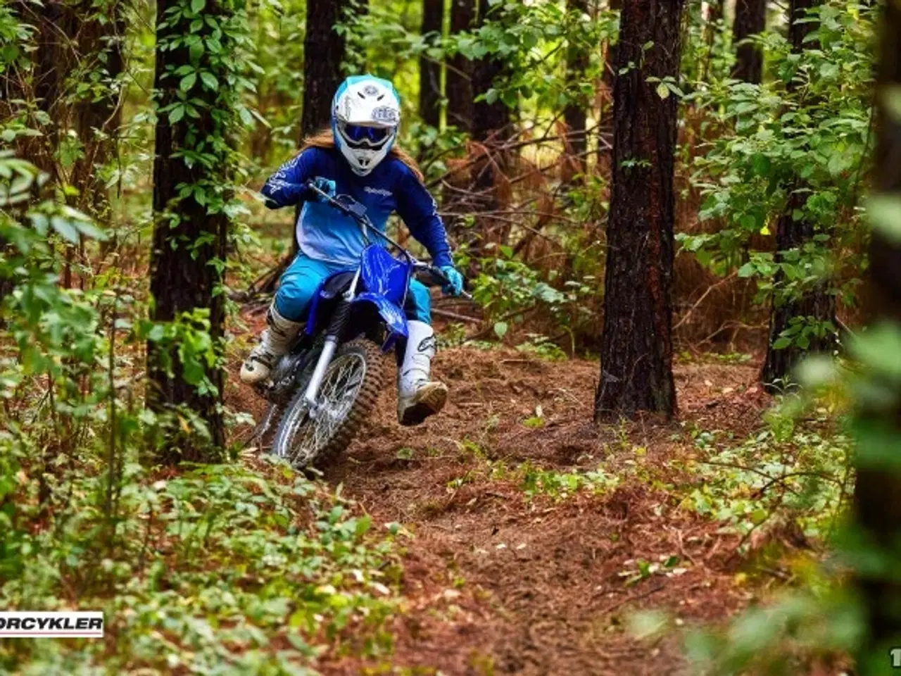 Billede 11 - Yamaha TT 125 R