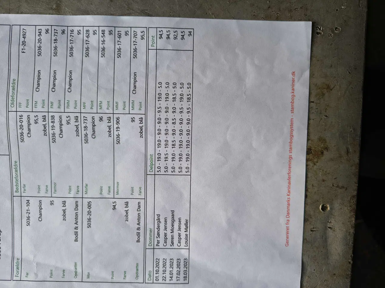 Billede 7 - Hermelin Zobel Blå 