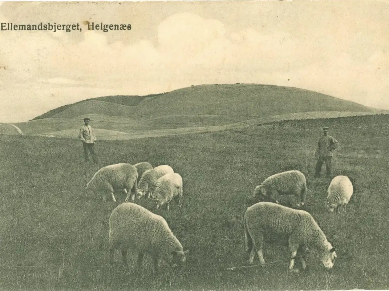 Billede 1 - Helgenæs 1910. Ellemandsbjerget