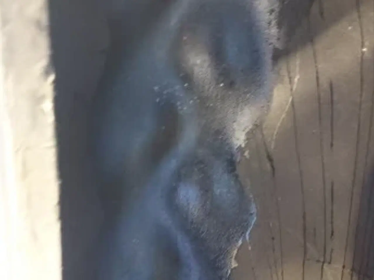 Billede 3 - 28" 14.9/13-28