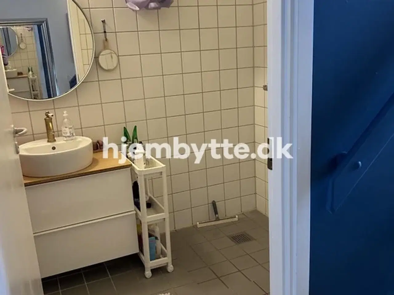 Billede 11 - Hjembytte - Hyldemosen