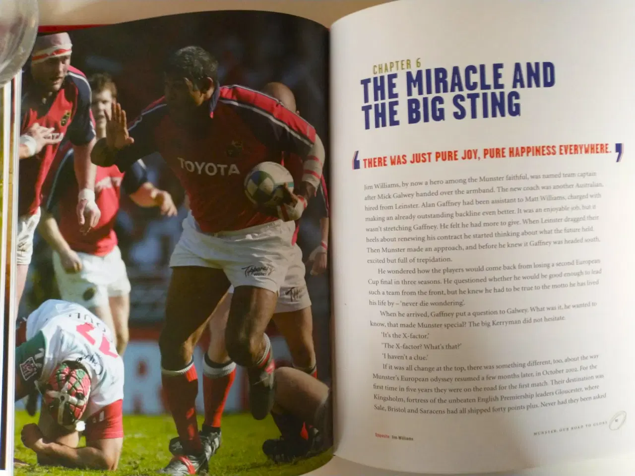 Billede 6 - Munster - Our Road To Glory. Irish Rugby Book  