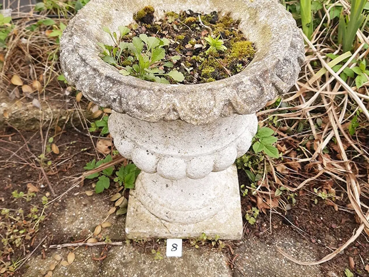 Billede 1 - Havekrukke.