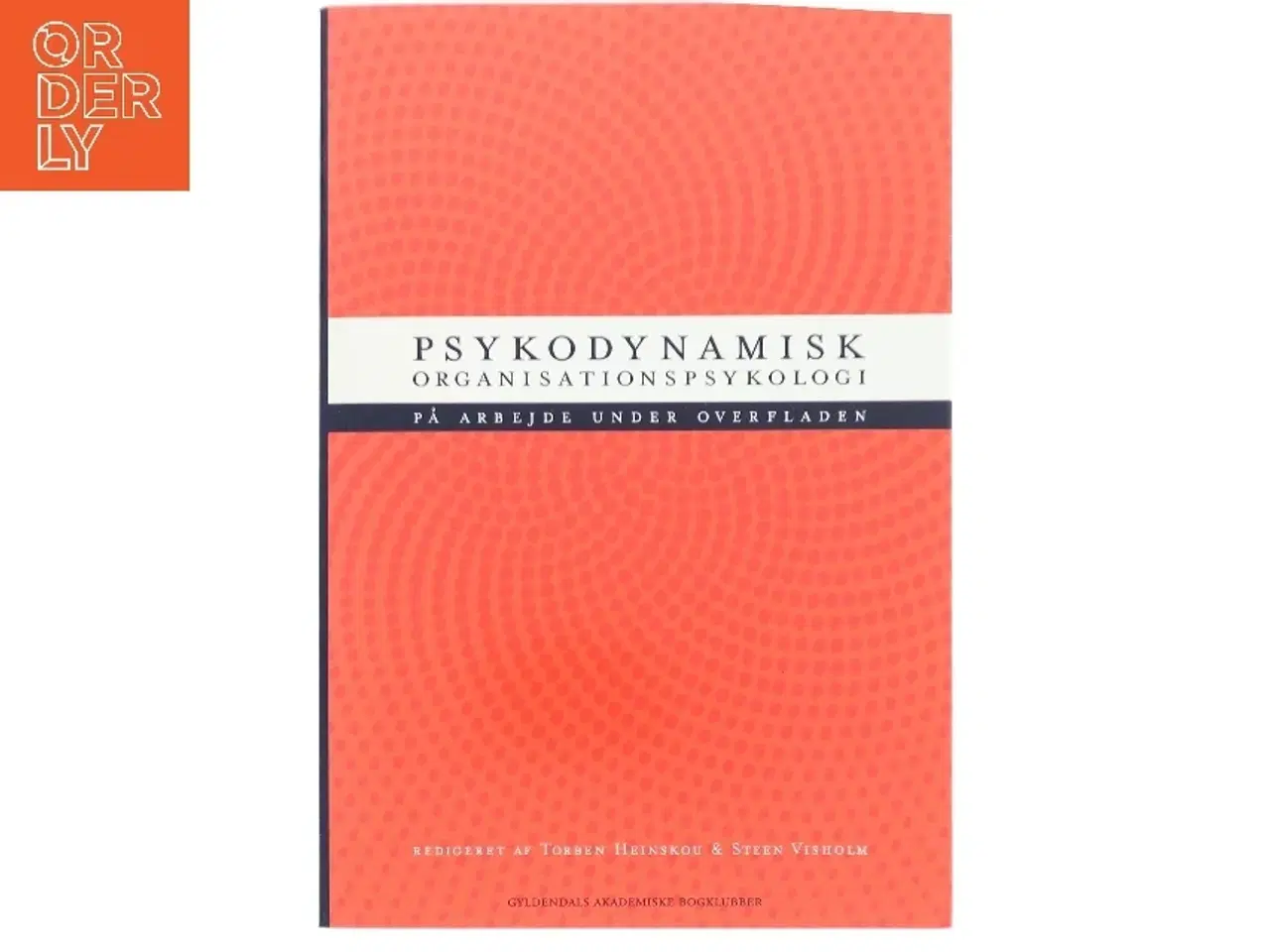 Billede 1 - Psykodynamisk organisationspsykologi : på arbejde under overfladen (Bog)