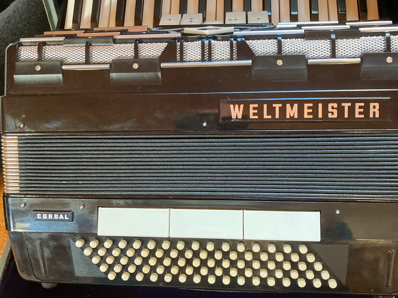 Billede 11 - Svedano og weltmeister 
