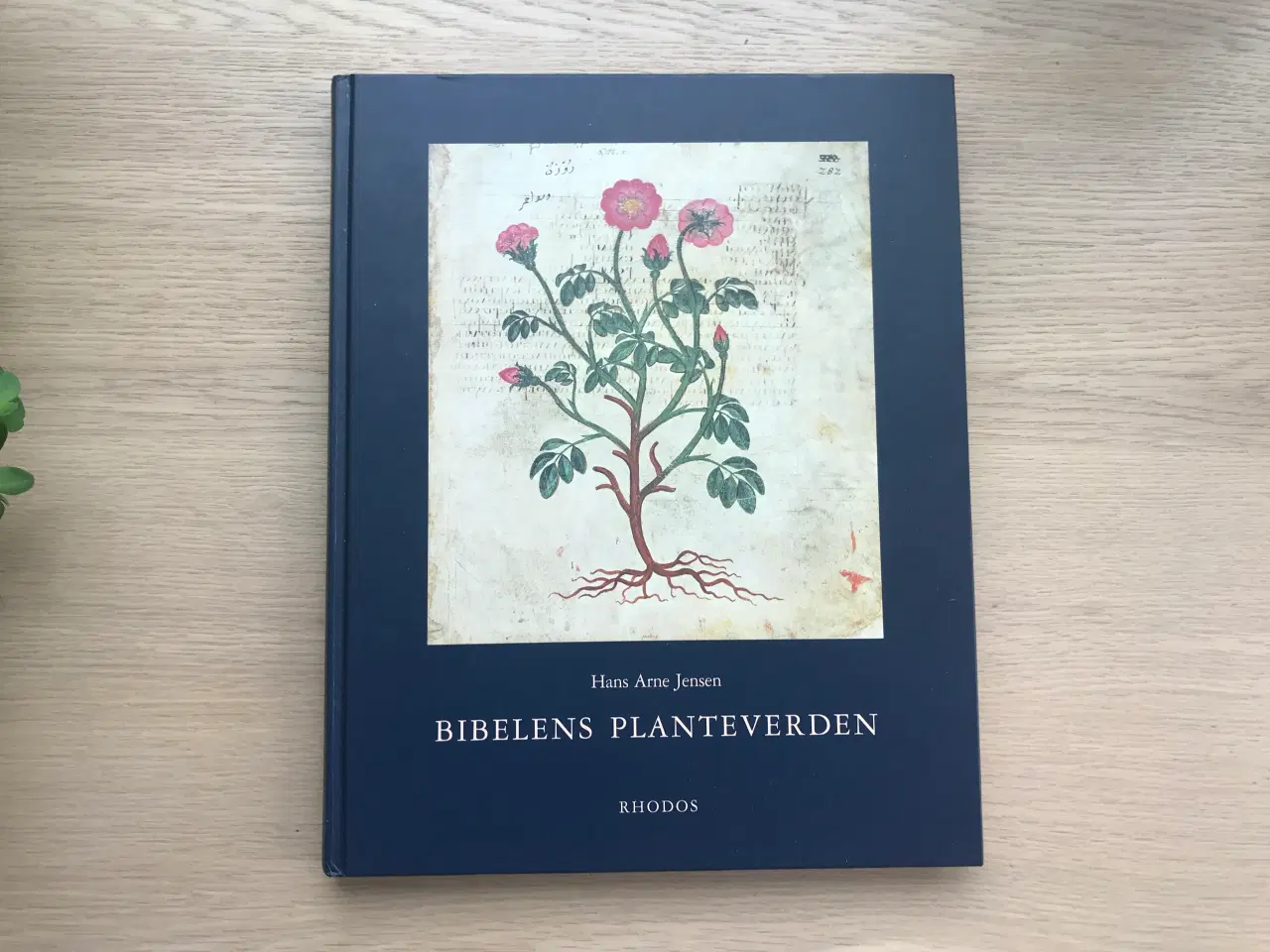 Billede 1 - Bibelens Planteverden  af Hans Arne Jensen