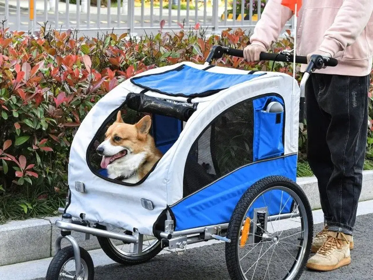 Billede 2 - Cykelanhænger / Jogger Hund 