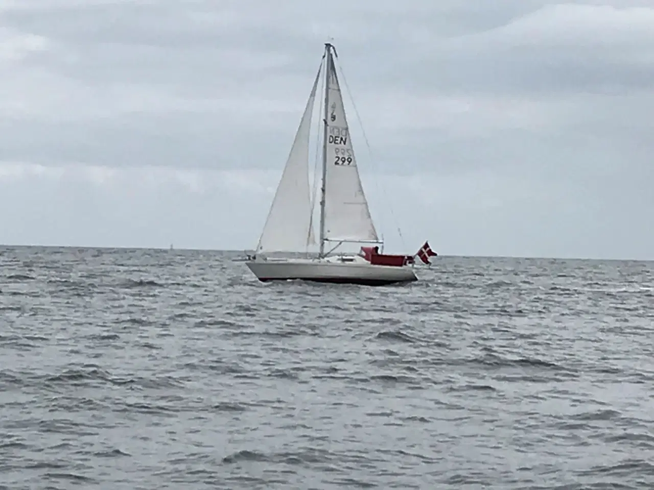 Billede 4 - Scampi 30, sejlbåd